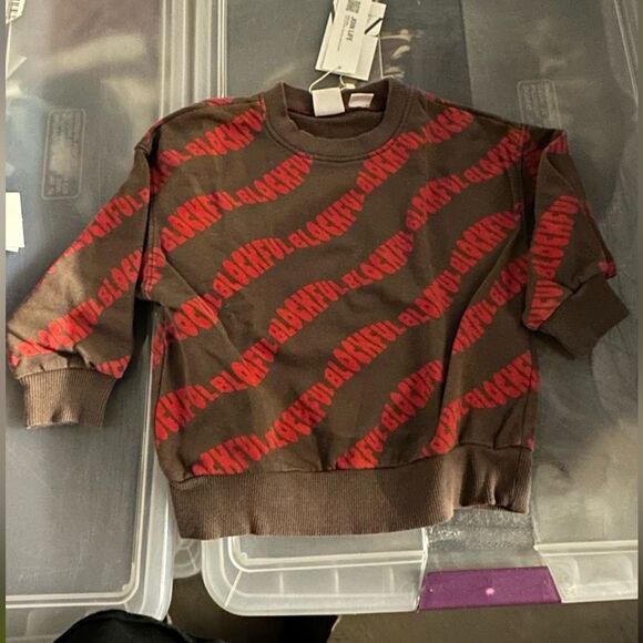 ZARA Kids | Dark Brown | SWEATSHIRT WITH TEXT - Picture 4 of 5